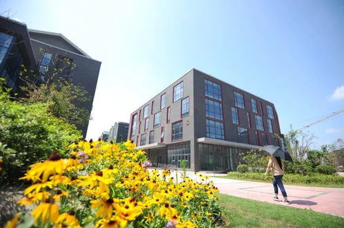 梅開春光爛漫，聚能引領未來——鼓樓云創科技園軟件外包服務