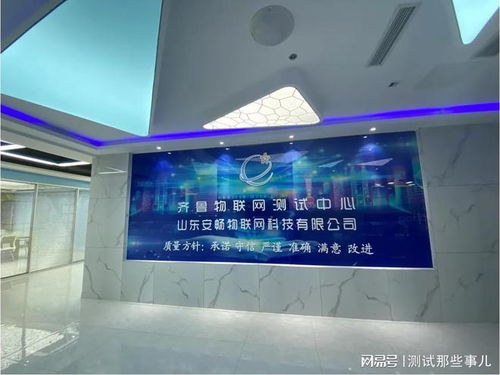 軟件測(cè)試工作流程與外包服務(wù)管理