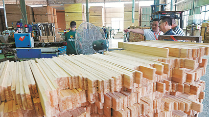 一樹興業(yè)，爭做道地“香杉人”——從南湖紅船看柳州杉木產(chǎn)業(yè)的傳承與創(chuàng)新